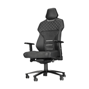 Backforce - One black/grey