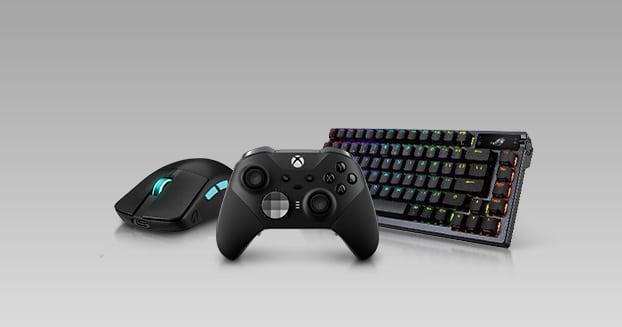 Input Devices