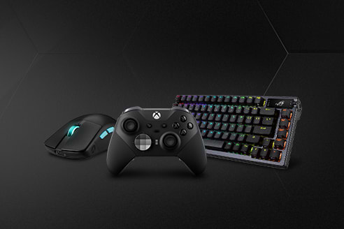 Input Devices